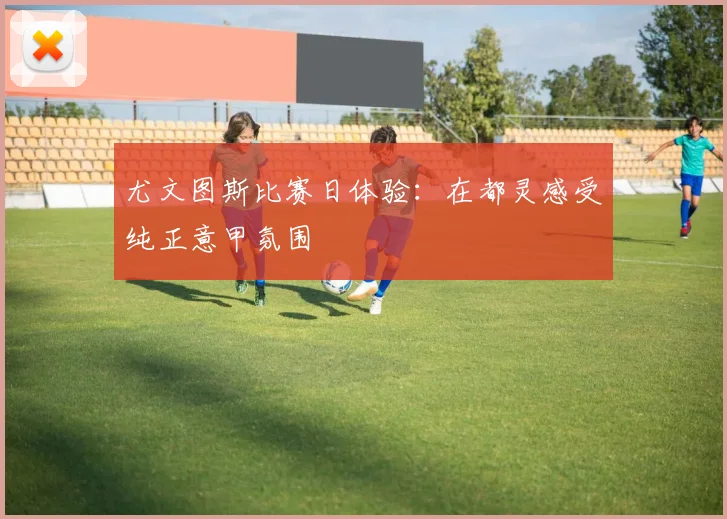 尤文图斯比赛日体验:在都灵感受纯正意甲氛围