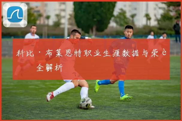 科比·布莱恩特职业生涯数据与荣誉全解析