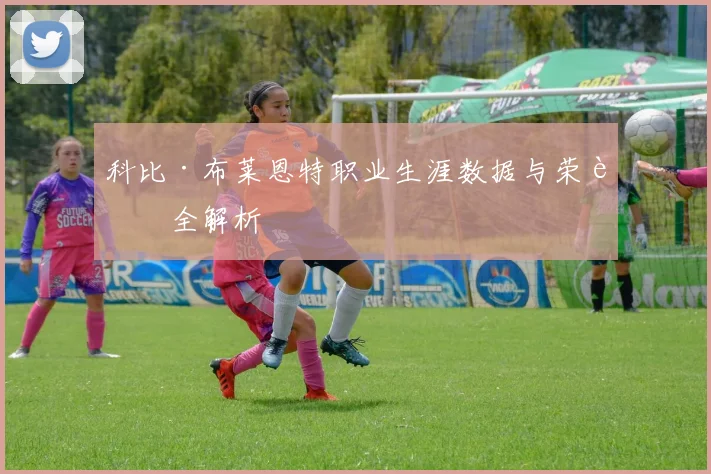 科比·布莱恩特职业生涯数据与荣誉全解析